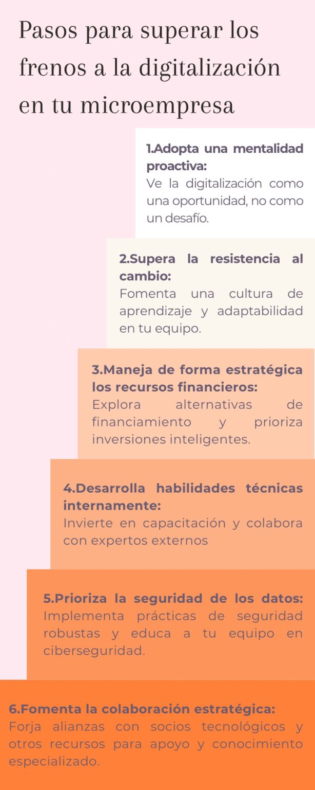 Pasos para superar los frenos a la digitalización en tu microempresa